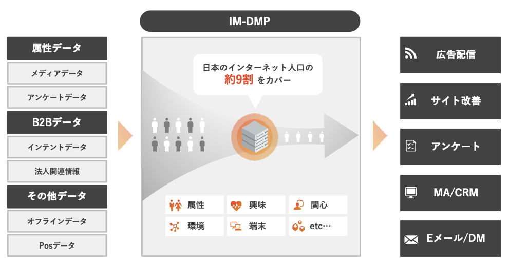IM-DMP全体像